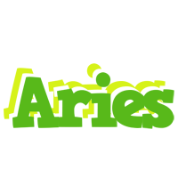 Aries picnic logo