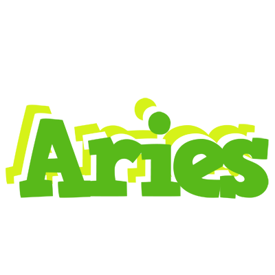 Aries picnic logo