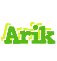 Arik picnic logo