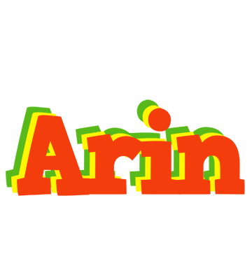 Arin bbq logo