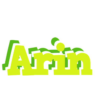 Arin citrus logo