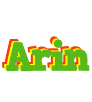 Arin crocodile logo