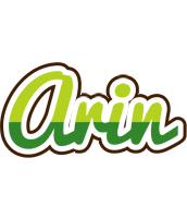 Arin golfing logo