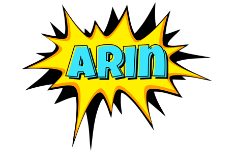 Arin indycar logo