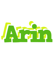 Arin picnic logo