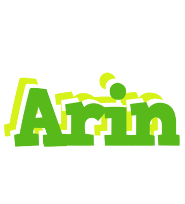 Arin picnic logo
