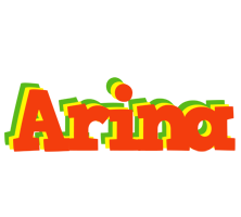 Arina bbq logo
