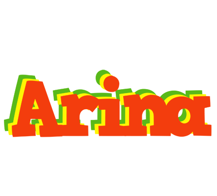 Arina bbq logo