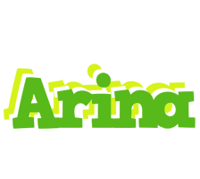 Arina picnic logo