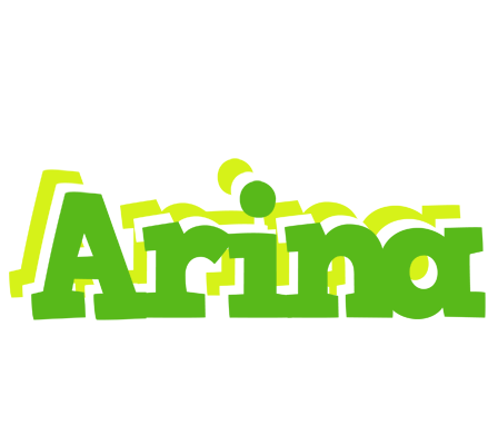 Arina picnic logo