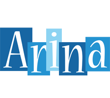 Arina winter logo
