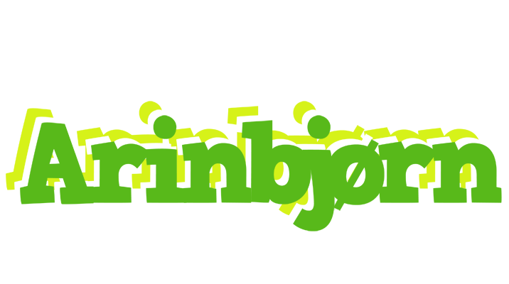 Arinbjørn picnic logo