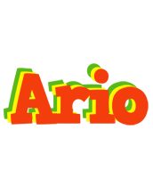 Ario bbq logo