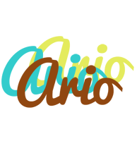 Ario cupcake logo