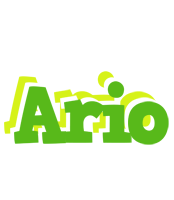 Ario picnic logo