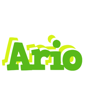 Ario picnic logo
