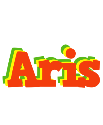 Aris bbq logo
