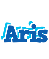 Aris business logo