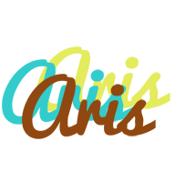 Aris cupcake logo
