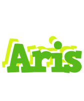 Aris picnic logo