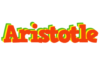 Aristotle bbq logo