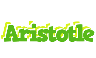 Aristotle picnic logo