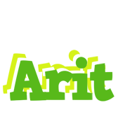 Arit picnic logo