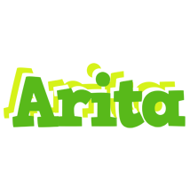 Arita picnic logo