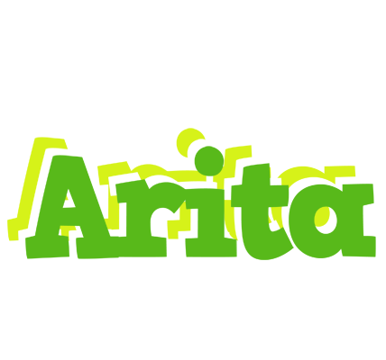 Arita picnic logo