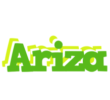 Ariza picnic logo