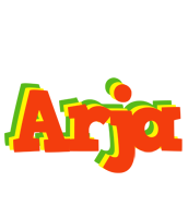 Arja bbq logo