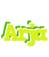 Arja citrus logo