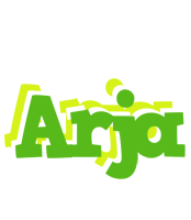 Arja picnic logo