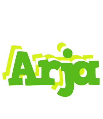 Arja picnic logo