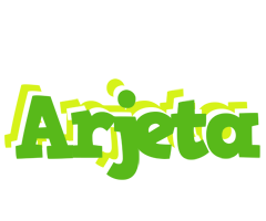 Arjeta picnic logo