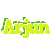 Arjun citrus logo