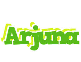 Arjuna picnic logo