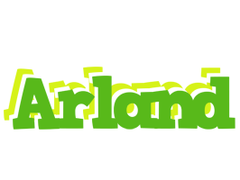 Arland picnic logo