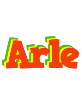 Arle bbq logo