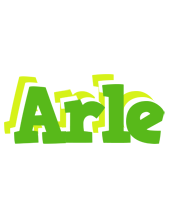 Arle picnic logo