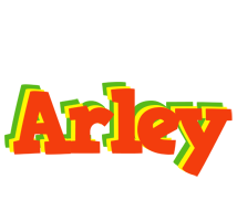 Arley bbq logo