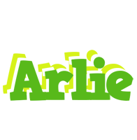 Arlie picnic logo