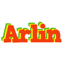 Arlin bbq logo