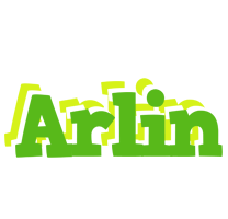 Arlin picnic logo