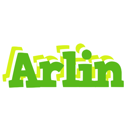 Arlin picnic logo