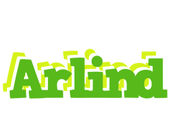 Arlind picnic logo