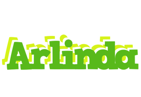 Arlinda picnic logo