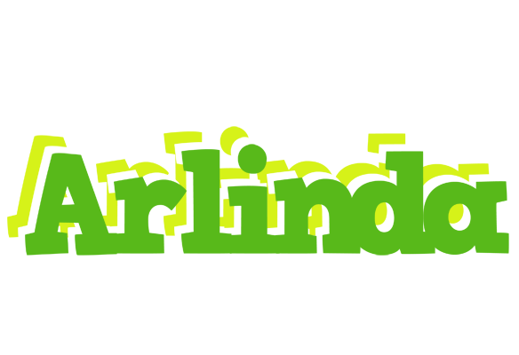 Arlinda picnic logo