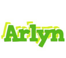 Arlyn picnic logo