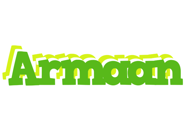 Armaan picnic logo